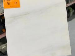 工程瓷砖胶 196